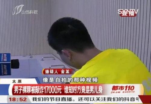 网瘾阿胖爆料视频大全集,揭秘网络世界背后的真实故事