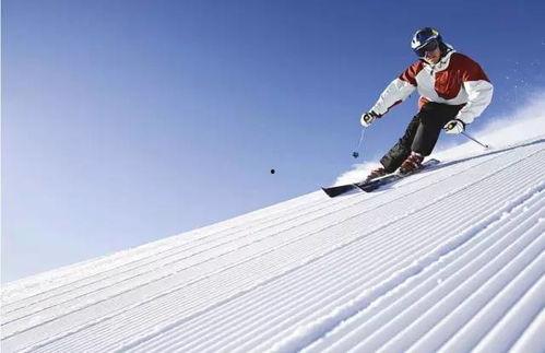 滑雪网红吃瓜视频大全集,揭秘冬日娱乐热点